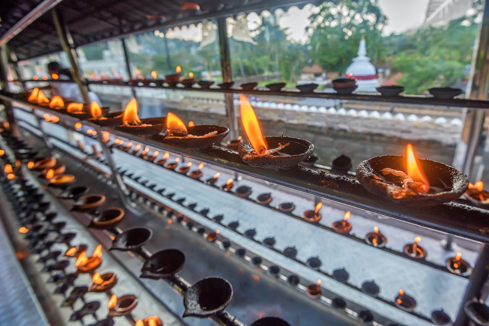 Coconut oil lamps in temple